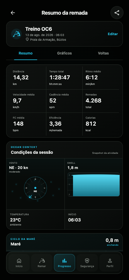 Tela de resumo da remada